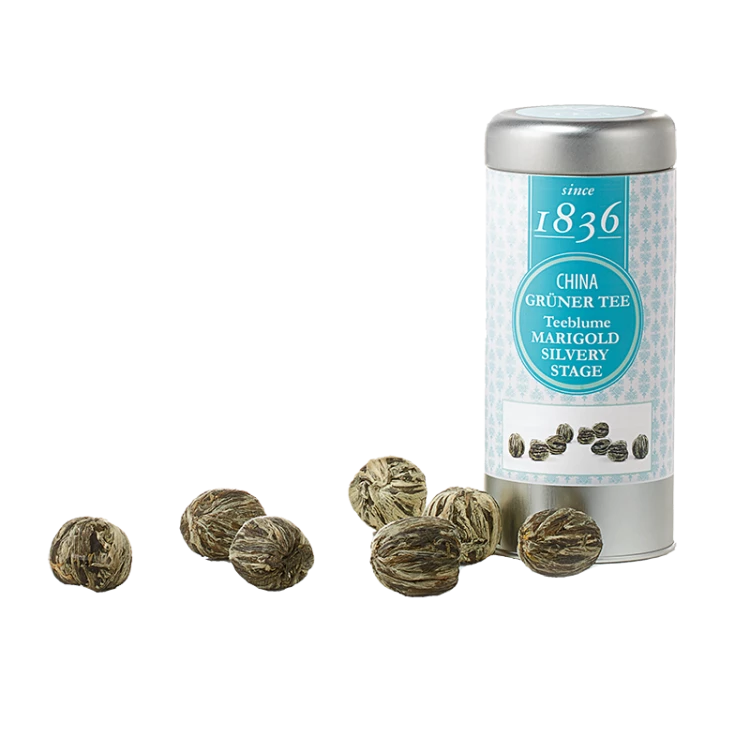 Blooming Tea Marigold Silvery Stage