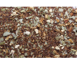 Sinaasappel eucalyptus