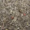 Aardbei (Decaf.)