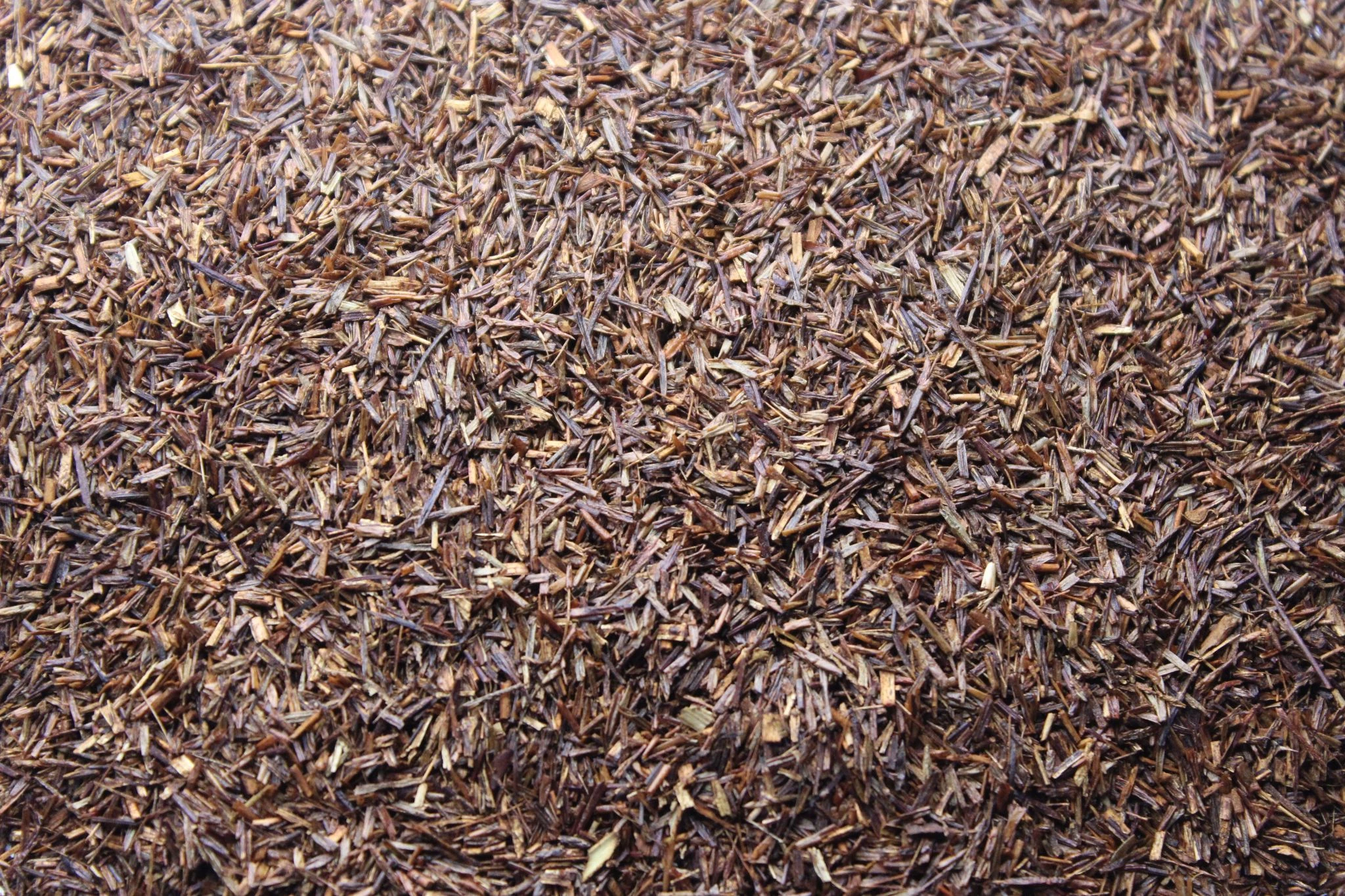 Rooibos Vanille
