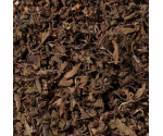 Tulsi