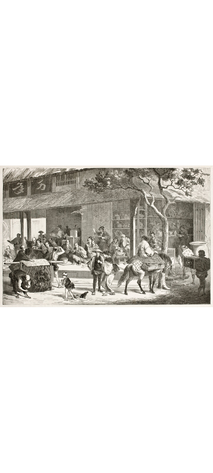 De geschiedenis van thee