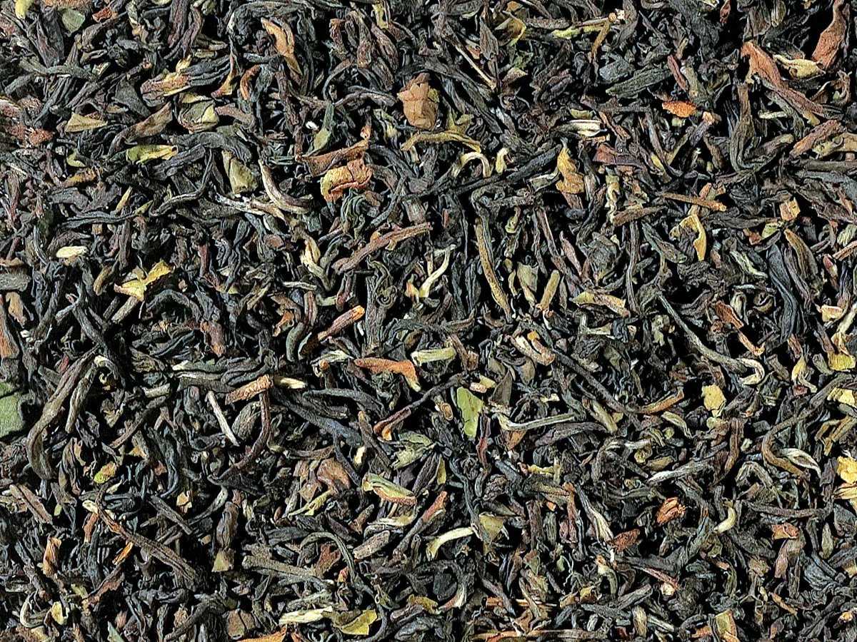 Darjeeling (eerste pluk)