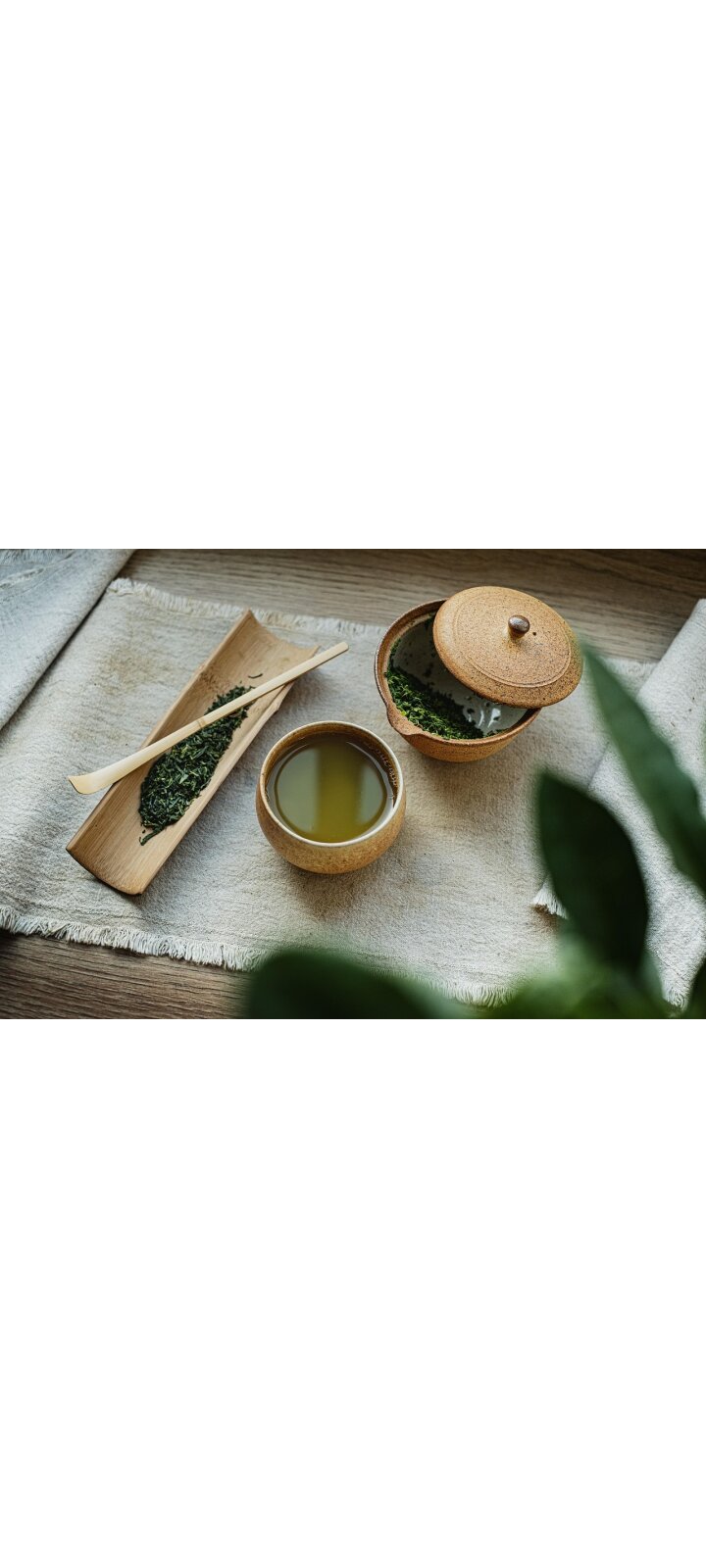 Wat is Sencha thee? Ontdek de voordelen en hoe je het zet