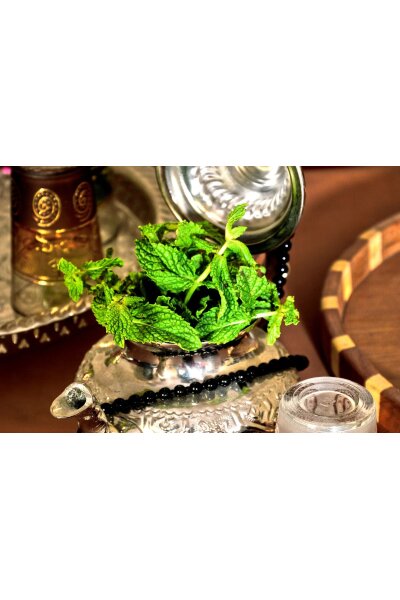 Spearmint thee: wat is het, verschil met pepermunt en wat zegt onderzoek?