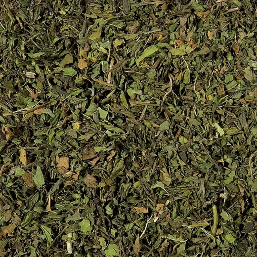 Nana mint