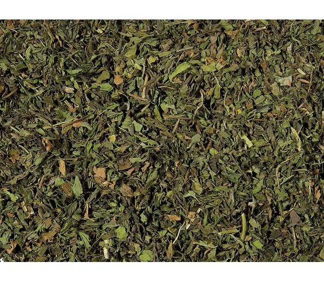 Nana mint